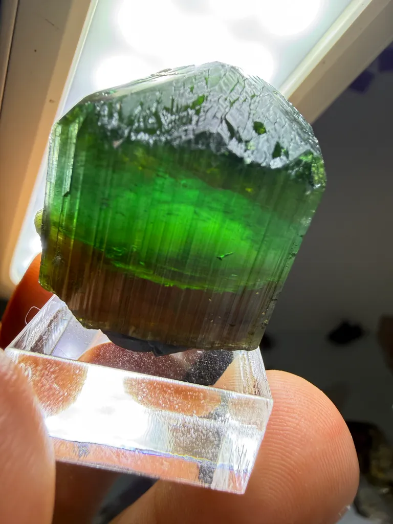 Tourmaline from Brazil, Minas Gerais, São José da Safira, Aricanga mine image