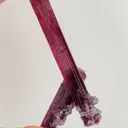 Tourmaline from Brazil, Minas Gerais, São José da Safira, Cruzeiro mine - image 2