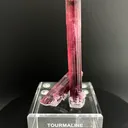 Tourmaline from Brazil, Minas Gerais, São José da Safira, Cruzeiro mine - image 3