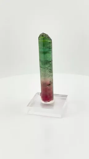 specimen video