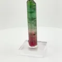 specimen video