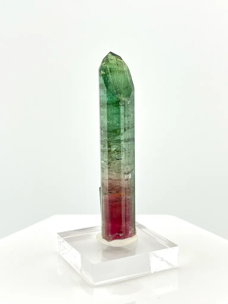 Tourmaline from Brazil, Minas Gerais, São José da Safira, Aricanga mine image