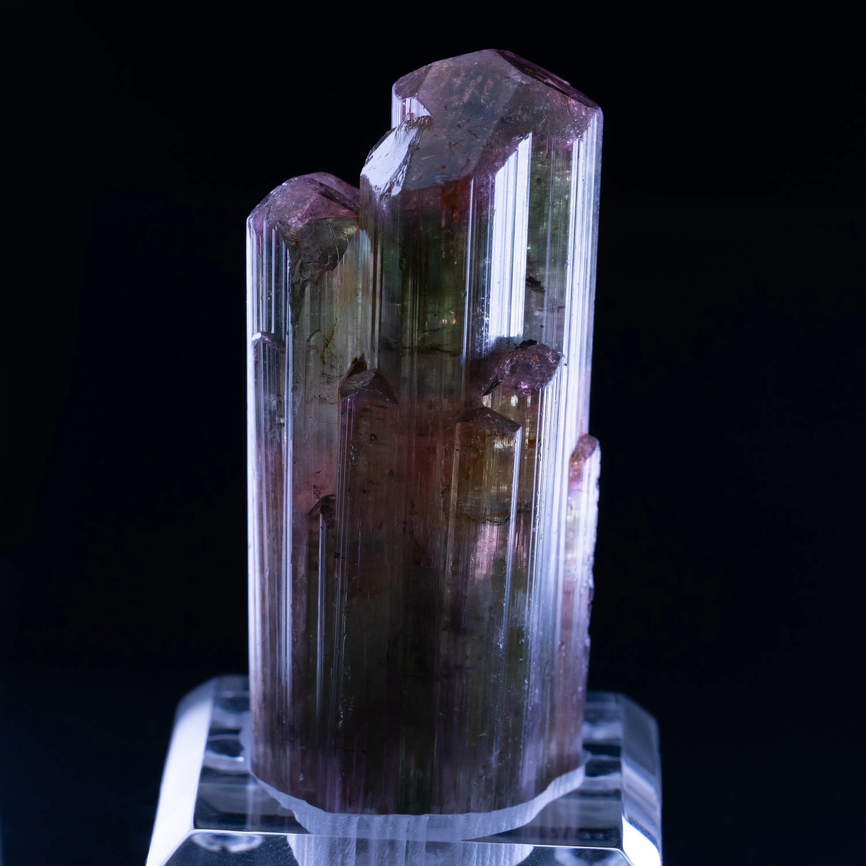 Tourmaline from Brazil, Minas Gerais, São José da Safira, Cruzeiro mine - image 5
