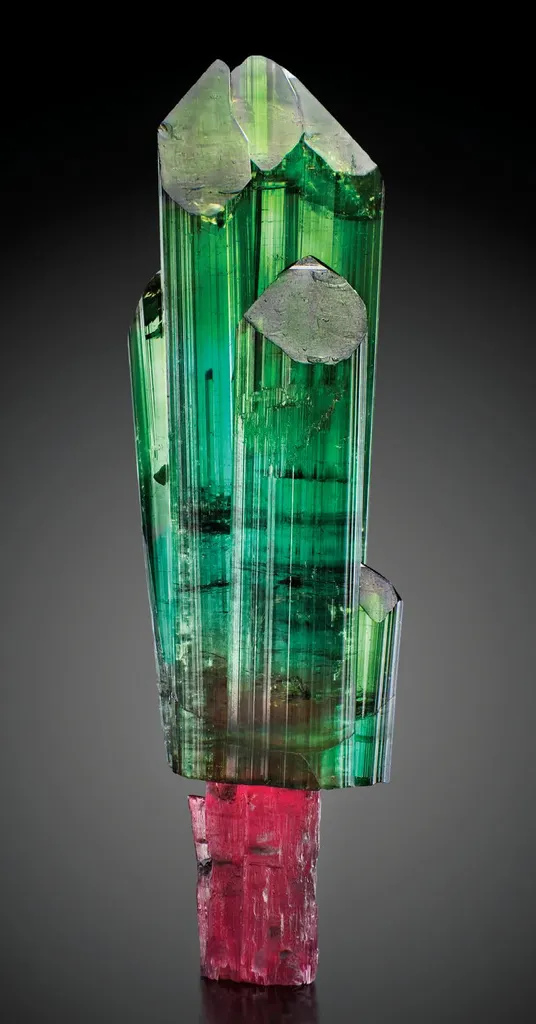 Tourmaline from Brazil, Minas Gerais, São José da Safira, Pederneira mine image