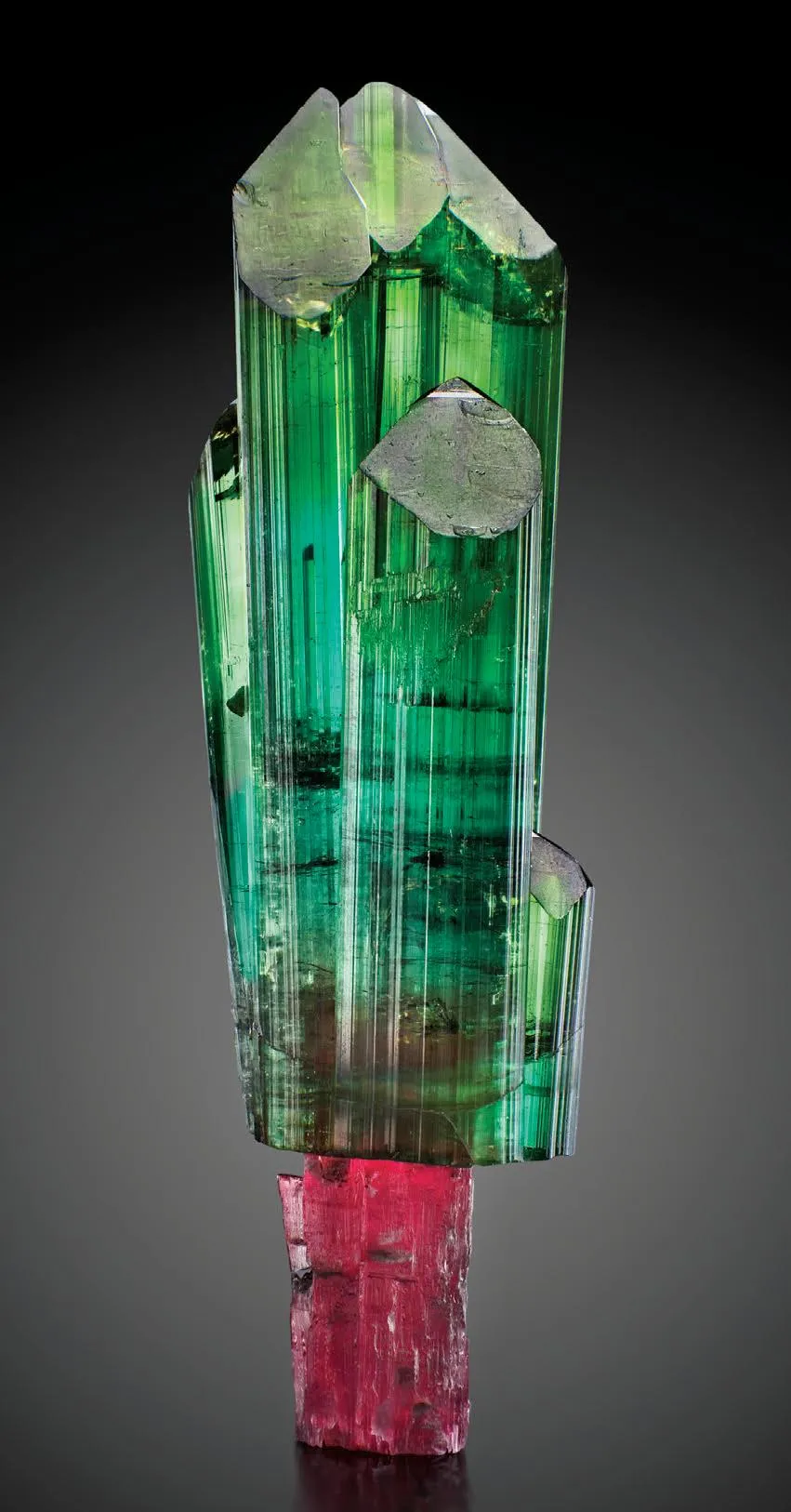 Tourmaline from Brazil, Minas Gerais, São José da Safira, Pederneira mine - image 1