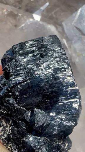 specimen video