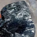 specimen video