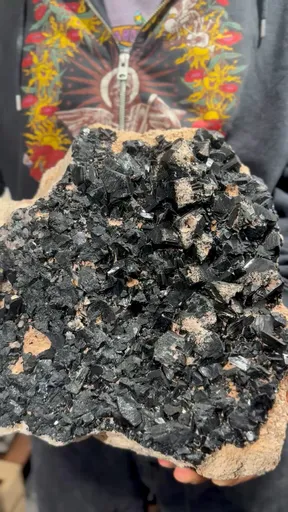 specimen video
