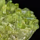Tourmaline from Chamachhu, Skardu District, Gilgit-Baltistan, Pakistan - image 3