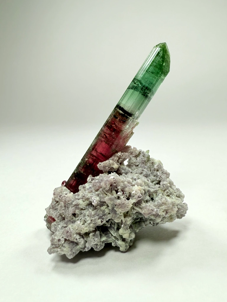Tourmaline from Chameleon Pocket, Aricanga mine, São José da Safira, Minas Gerais, Brazil image