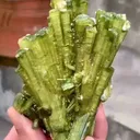 specimen video