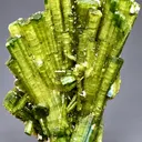 Tourmaline from Chhappu, Braldu Valley, Shigar District, Gilgit-Baltistan, Pakistan - image 1