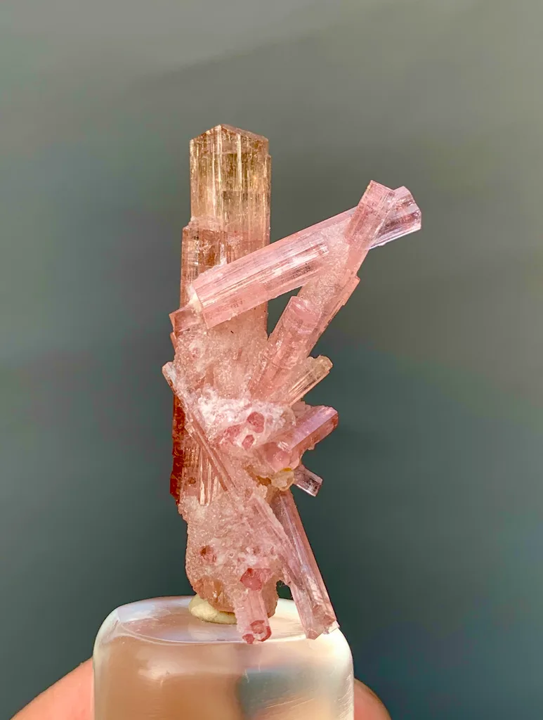 Tourmaline from Chhappu, Braldu Valley, Shigar District, Gilgit-Baltistan, Pakistan - image 5