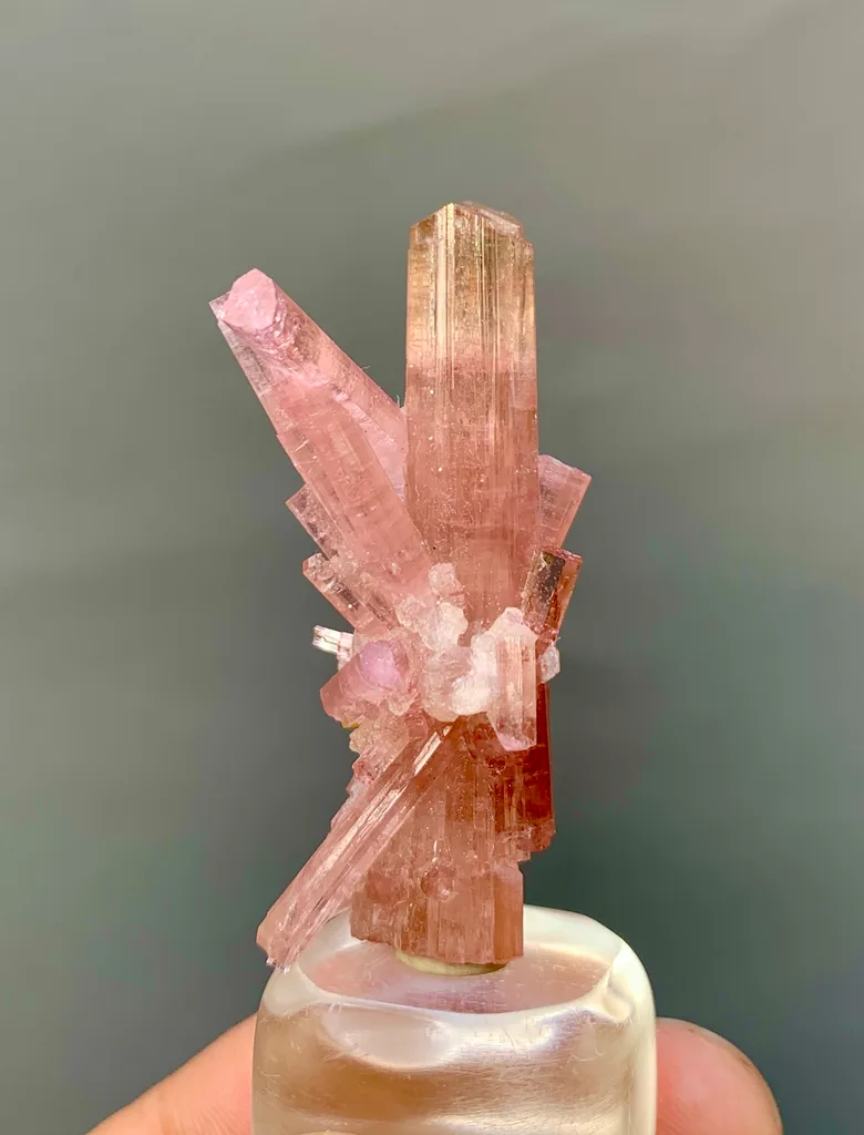 Tourmaline from Chhappu, Braldu Valley, Shigar District, Gilgit-Baltistan, Pakistan - image 6