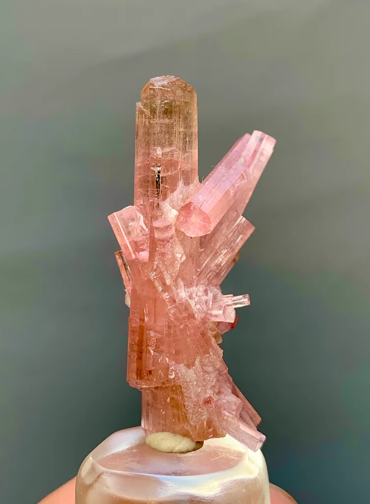 Tourmaline from Chhappu, Braldu Valley, Shigar District, Gilgit-Baltistan, Pakistan - image 4