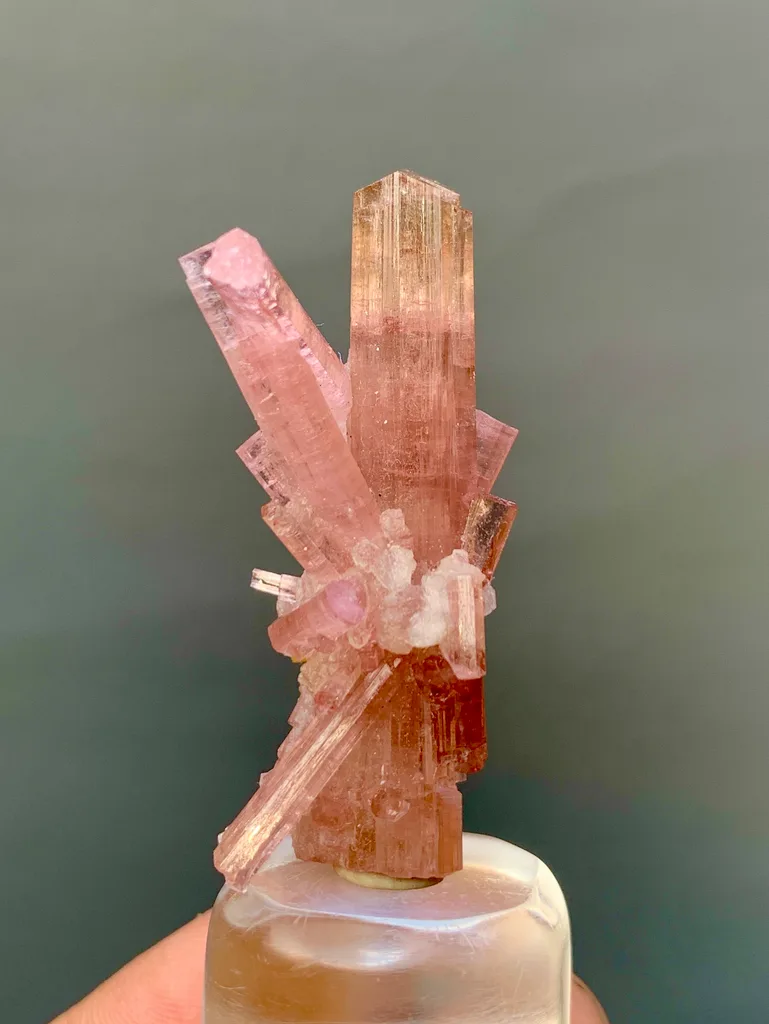 Tourmaline from Chhappu, Braldu Valley, Shigar District, Gilgit-Baltistan, Pakistan - image 2