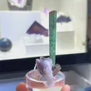 specimen video