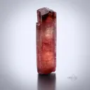 Tourmaline from Coronel Murta, Minas Gerais, Brazil - image 2