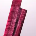 specimen video