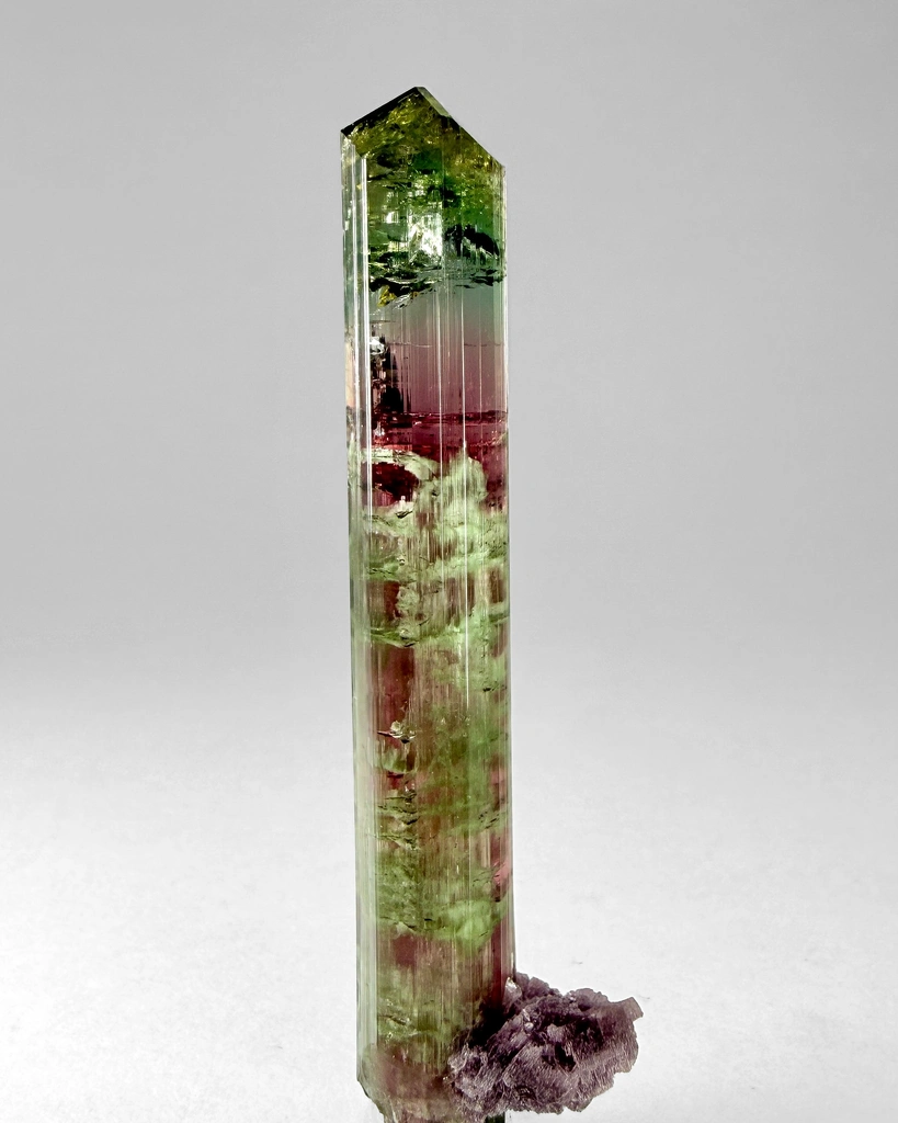 Tourmaline from Cruzeiro mine, São José da Safira, Minas Gerais, Brazil - image 5