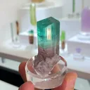 specimen video