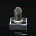 Tourmaline from Ikalamavony District, Haute Matsiatra, Madagascar - image 3