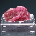 Tourmaline from Jonas Mine, Conselheiro Pena, Minas Gerais, Brazil - image 1