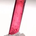 specimen video