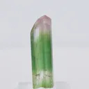 specimen video