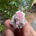 Tourmaline from Nouristan, Paprok, Nuristan, Afghanistan - image 3