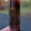 specimen video