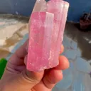 specimen video