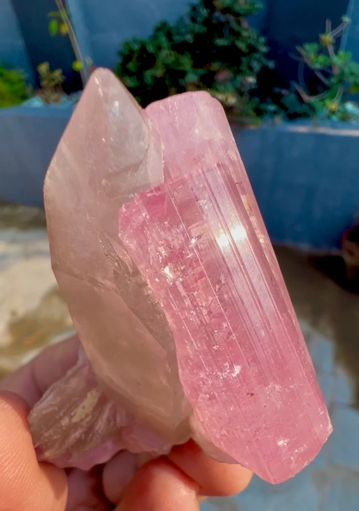 Tourmaline from Pachigram pegmatite field, Nuristan, Afghanistan - image 9