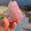 specimen video