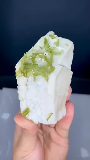 specimen video