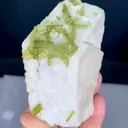 specimen video