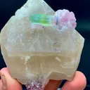 specimen video