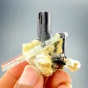 Tourmaline from Pakistan - image 7