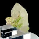 specimen video