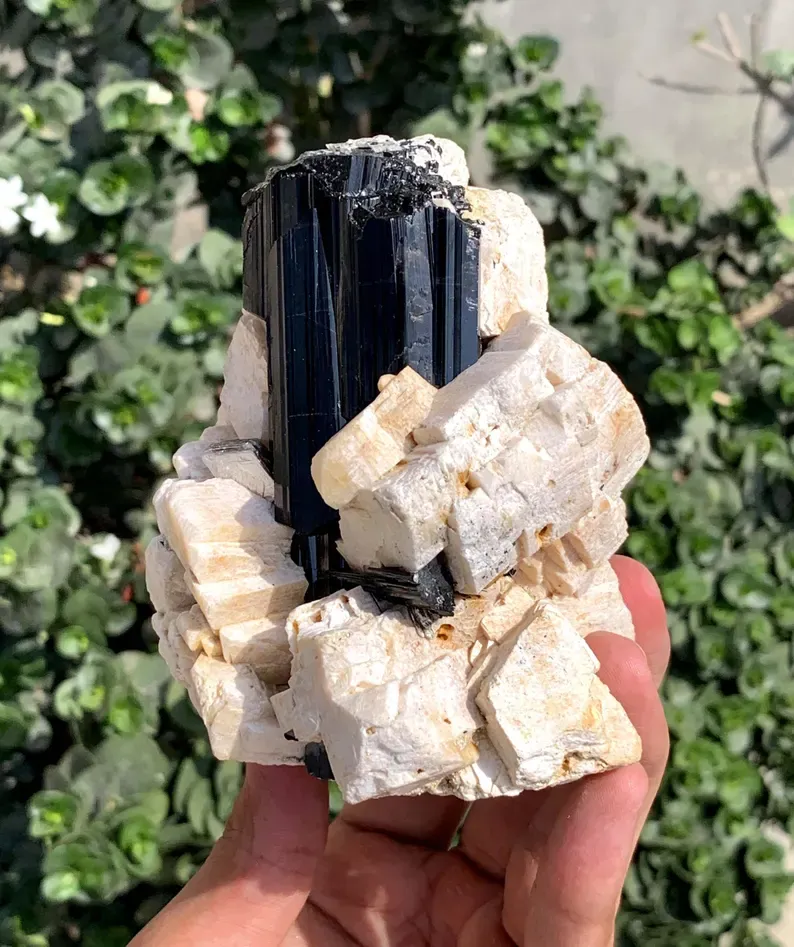 Tourmaline from Pakistan - image 4