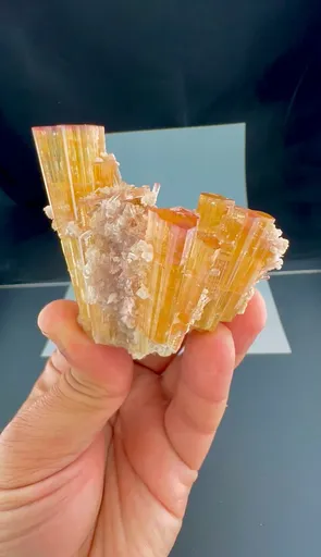 specimen video