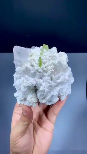 specimen video