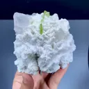specimen video