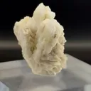 specimen video