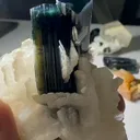specimen video