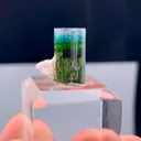 specimen video