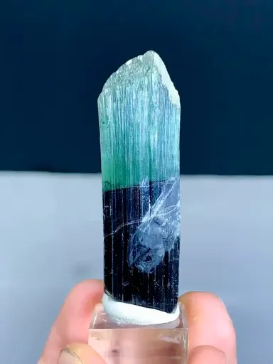 specimen video