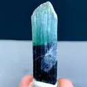 specimen video