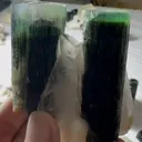 specimen video