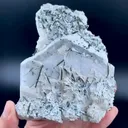 specimen video